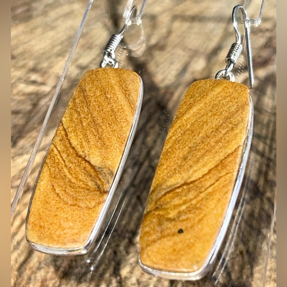 Picture Jasper Earrings 2 1/4”
